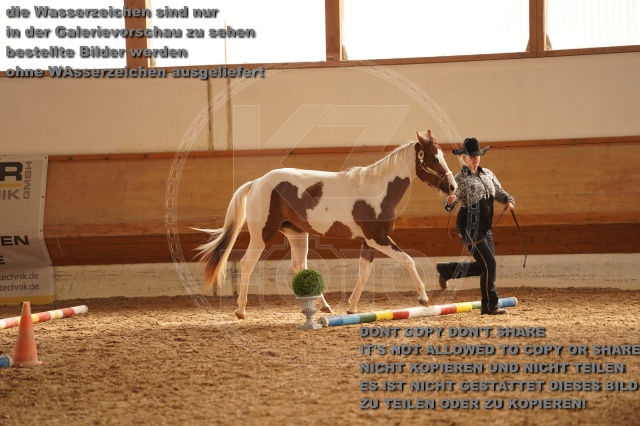 s_A_901259.JPG